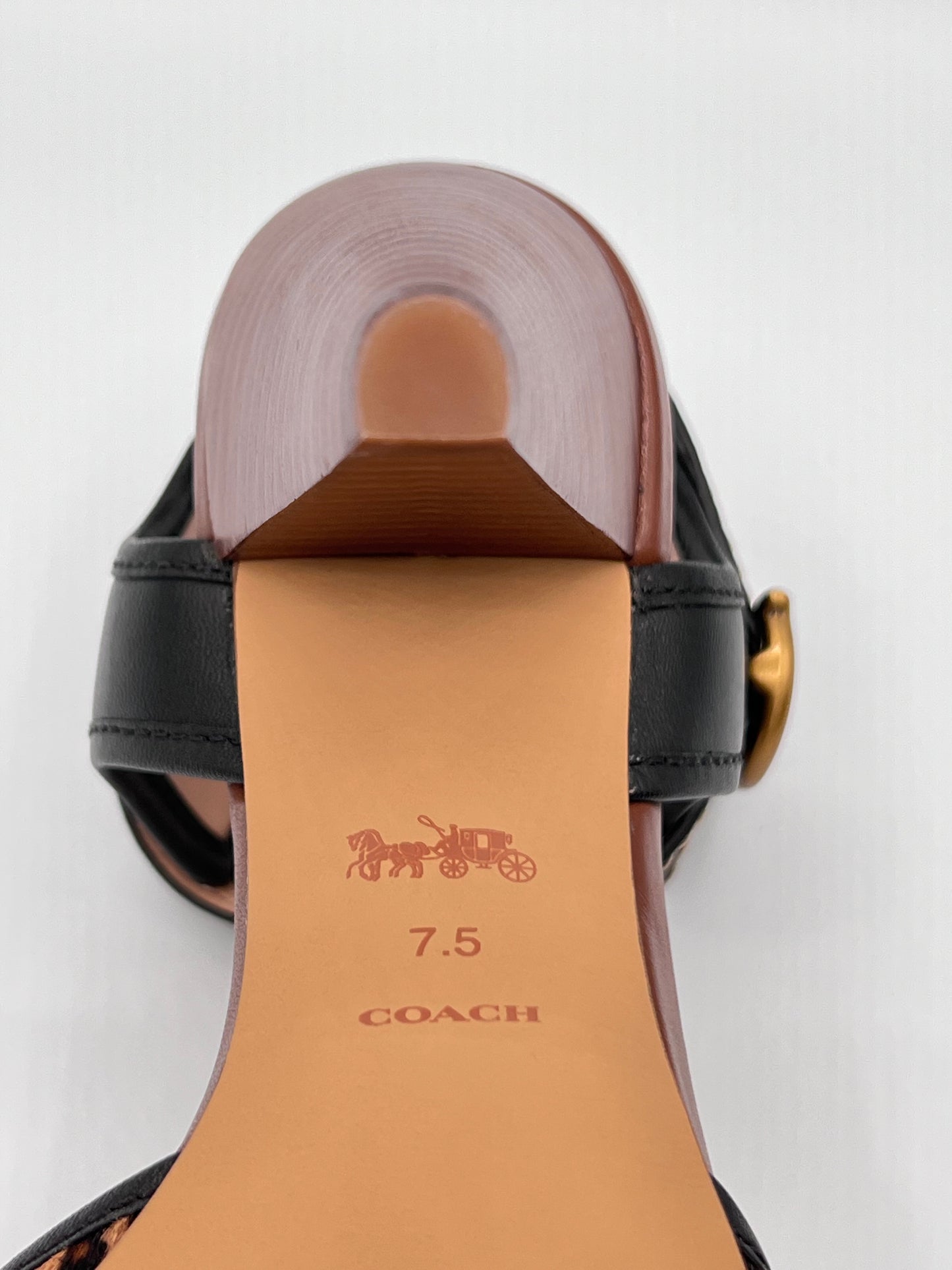 Coach Leopard Pointed-Toe Heels